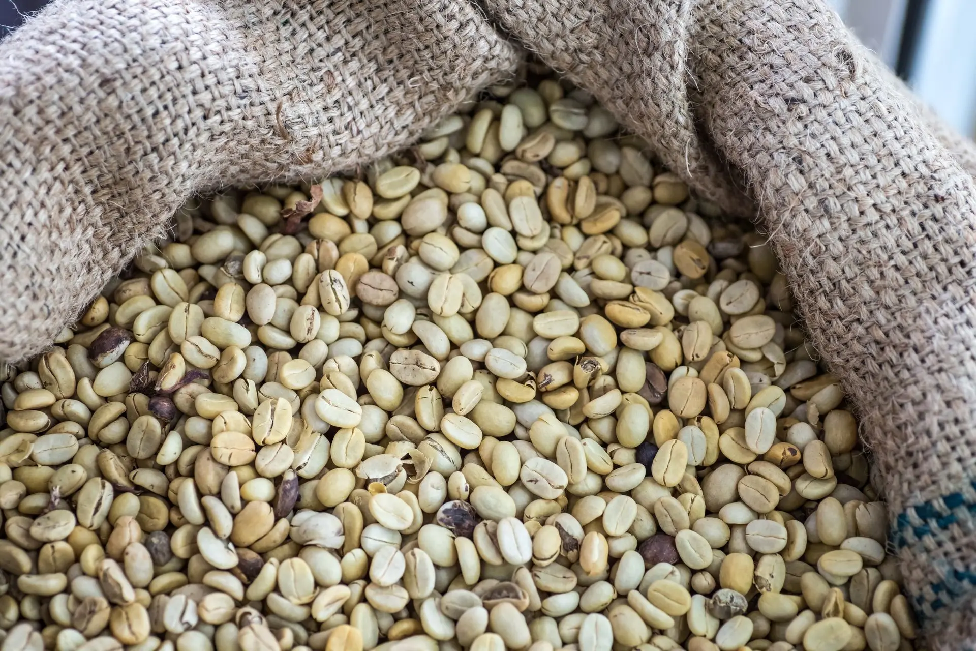 Kaffeebohne Plantage Grüner ungerösteter Kaffee Kolumbien