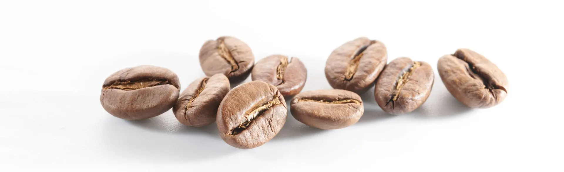 frisch geröstete Kaffeebohnen heller Röstkaffee