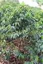 IMG_6577.webp